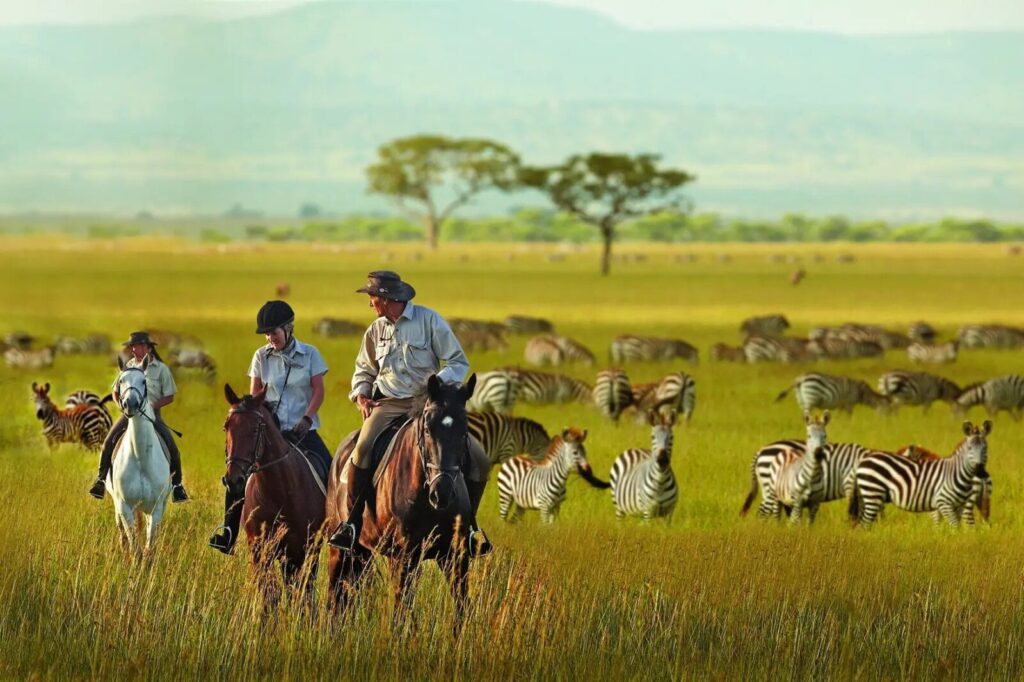 Horseback safaris