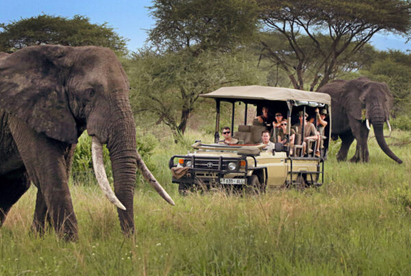 Is It Safe To Travel to Tanzania in 2026?