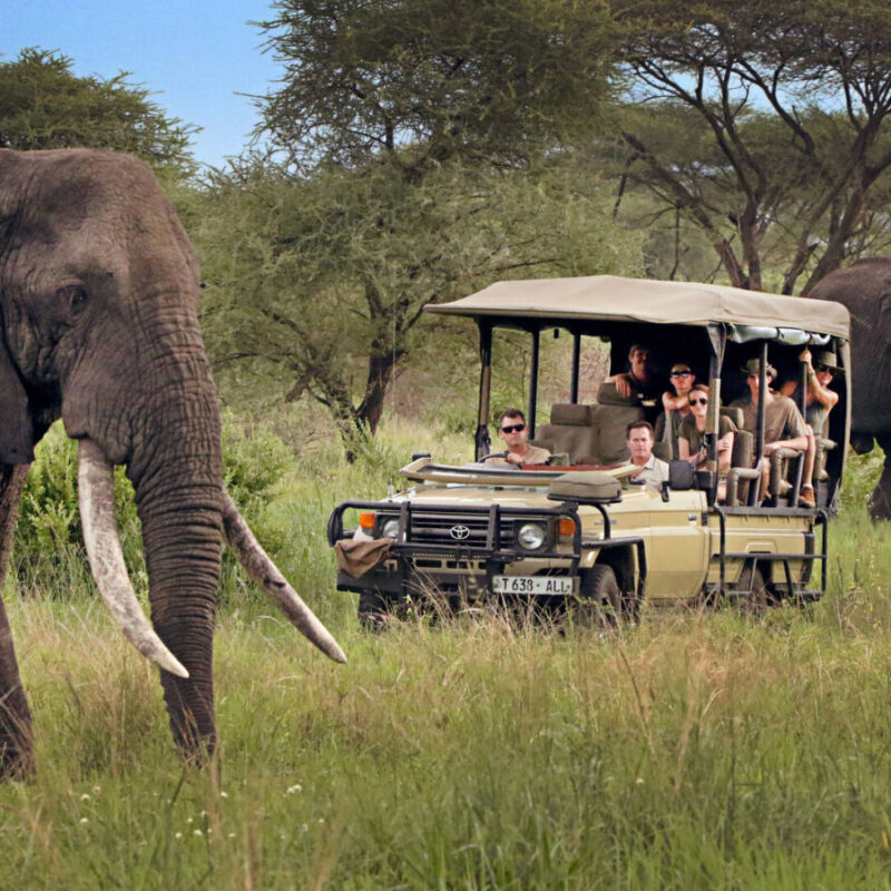 Is It Safe To Travel to Tanzania in 2026?