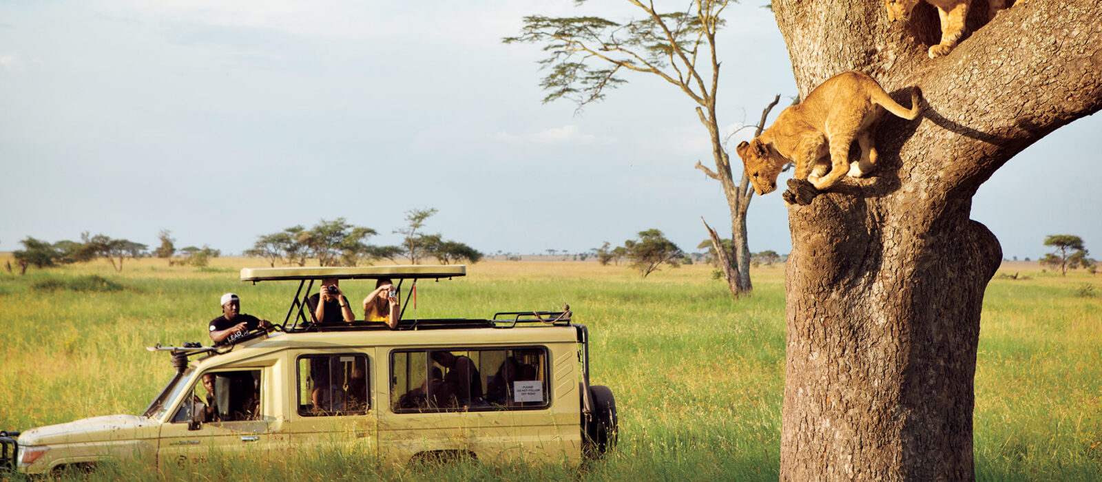 Is It Safe To Travel to Tanzania in 2026?