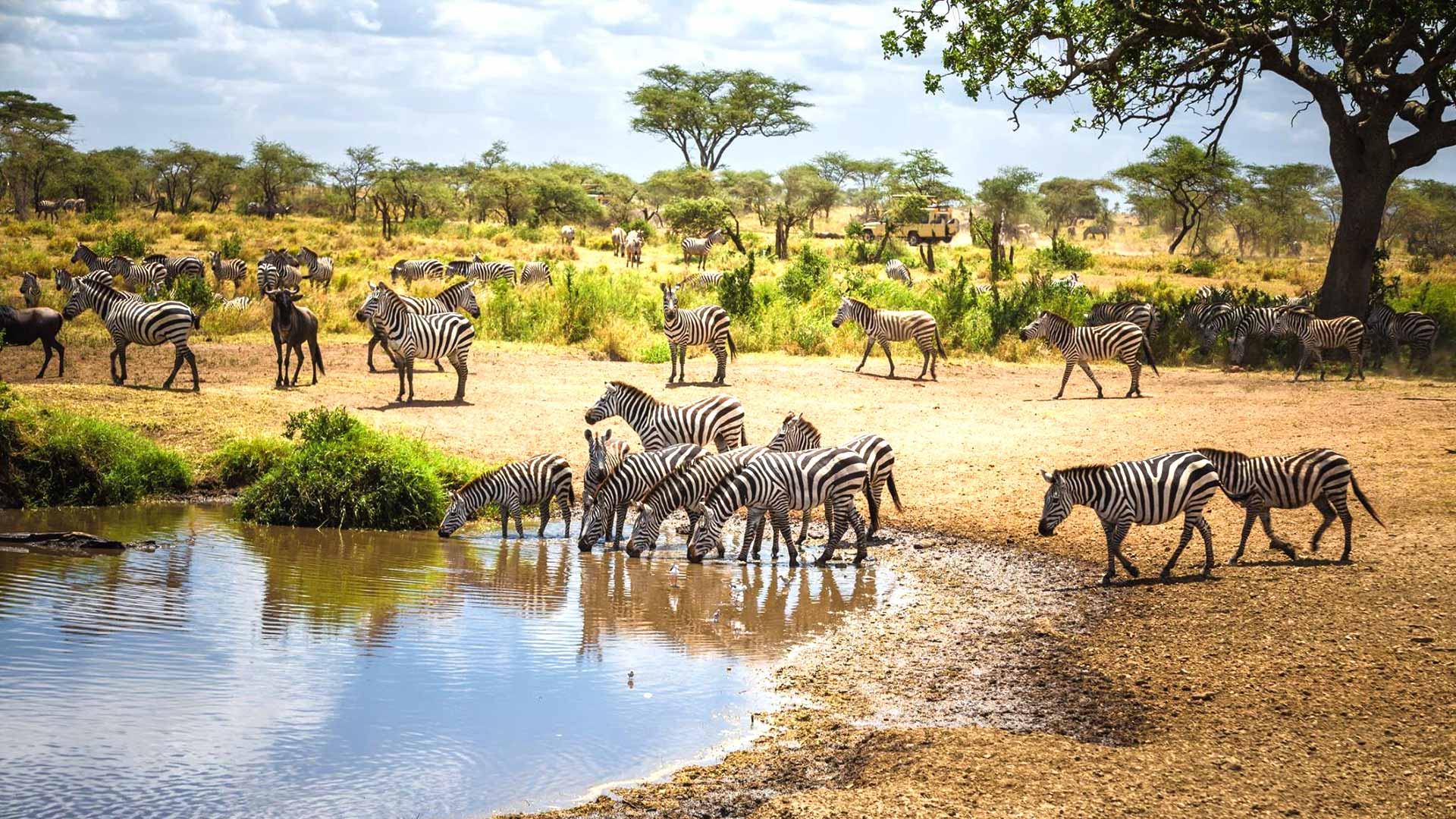 Is It Safe To Travel to Tanzania in 2026?