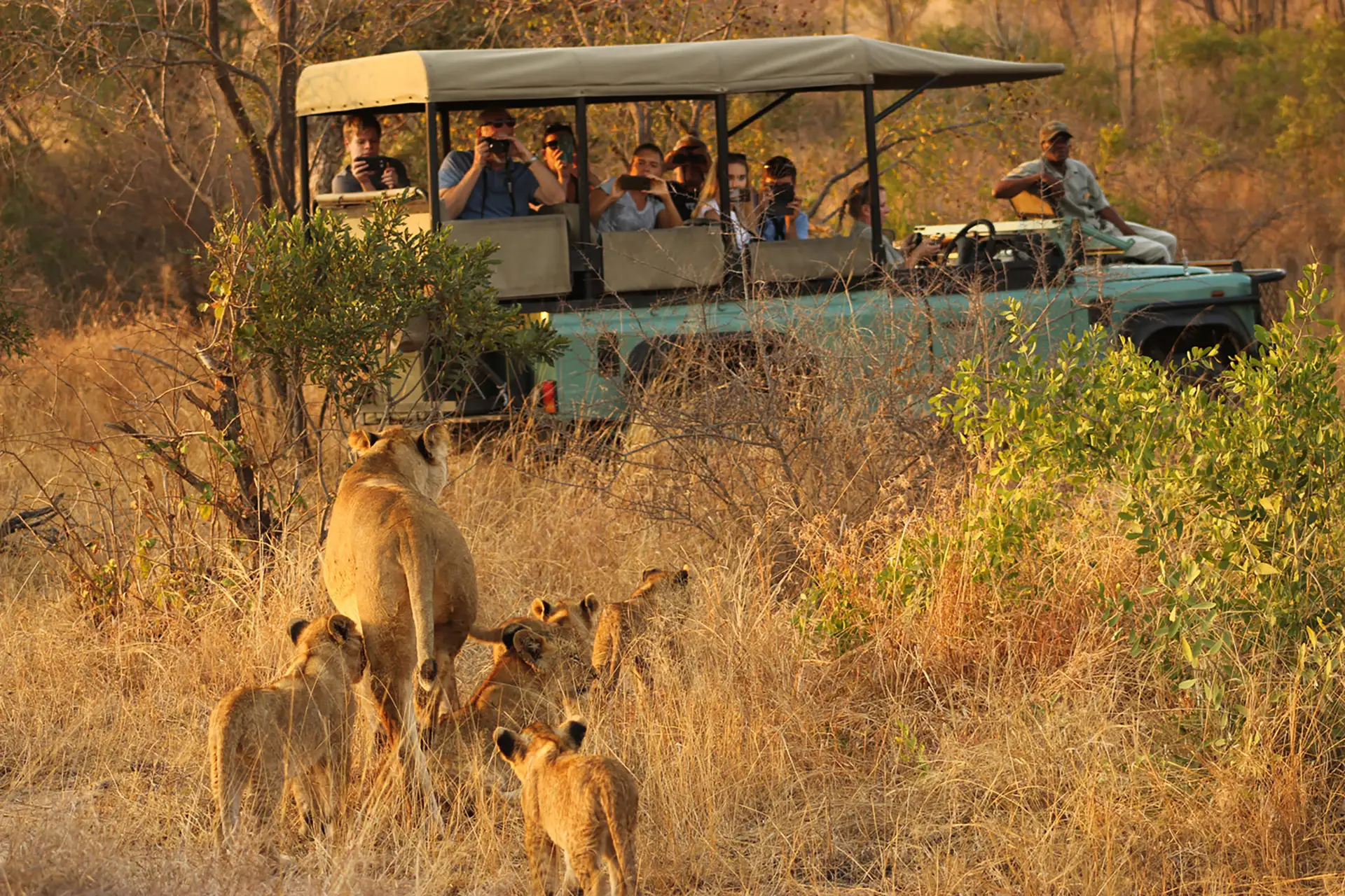 Is It Safe to Go on Safari in Africa?