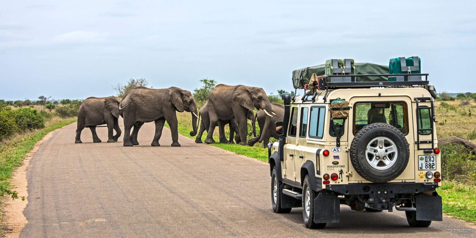 Is It Safe to Travel to South Africa in 2026?