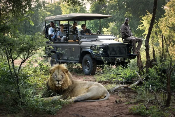 Is It Safe to Travel to South Africa in 2026?
