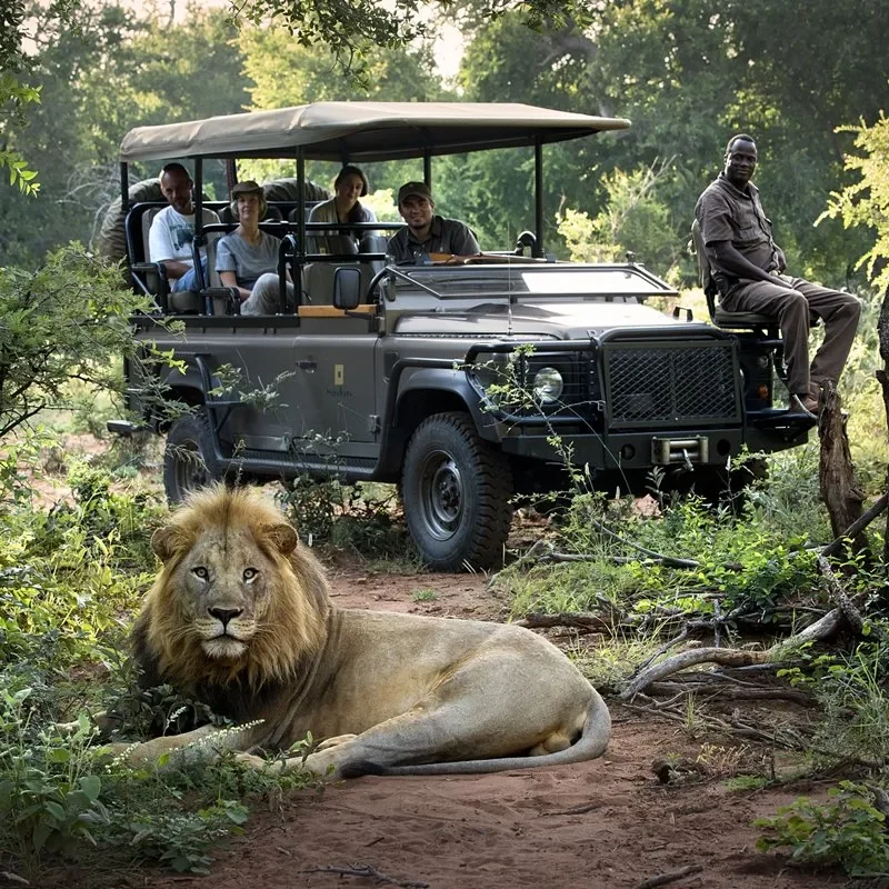 Is It Safe to Travel to South Africa in 2026?