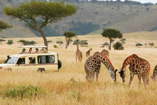 Is it Safe to Travel to Kenya in 2026?