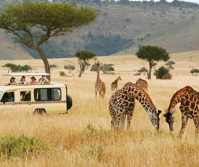 Is it Safe to Travel to Kenya in 2026?