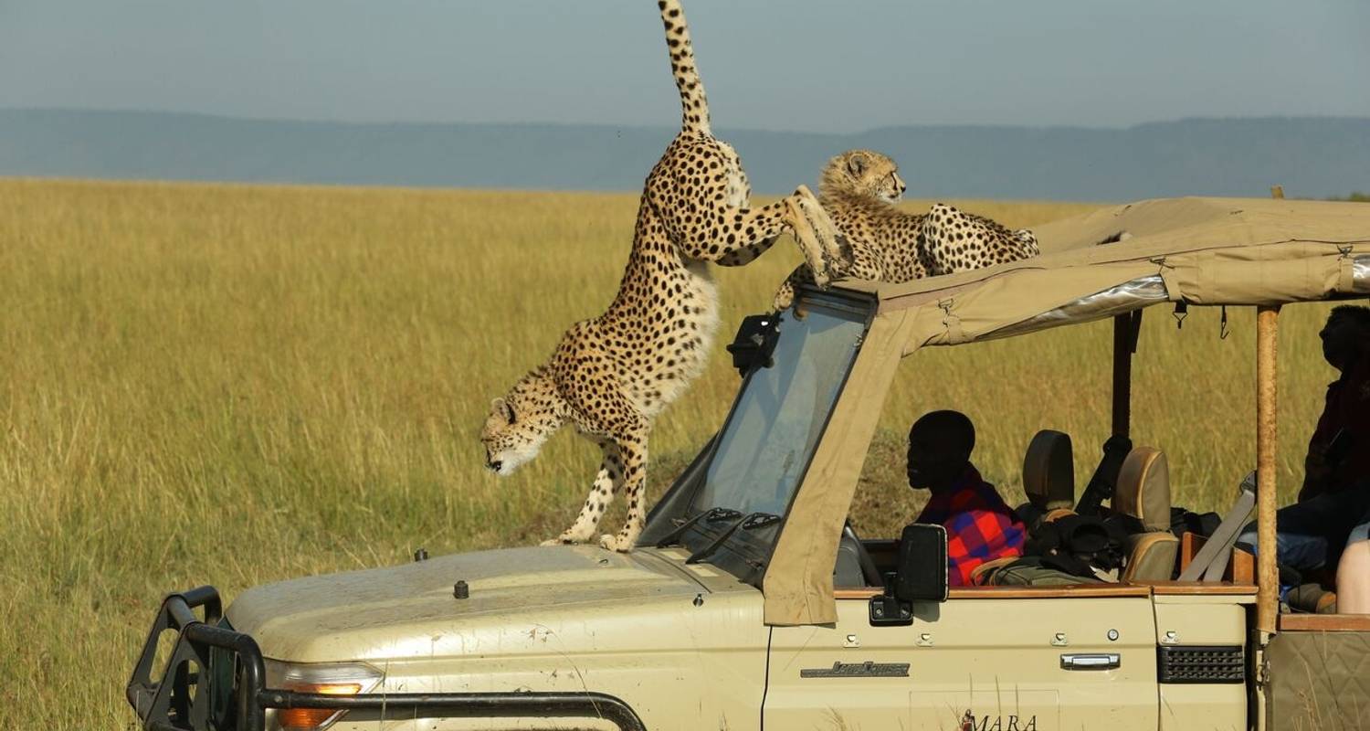 Is it Safe to Travel to Kenya in 2026?