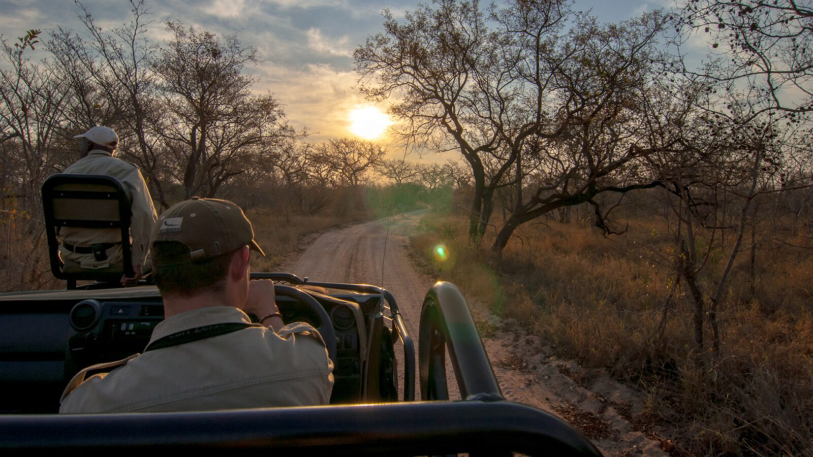Kruger Park Safaris: Public vs Private Ultimate Guide