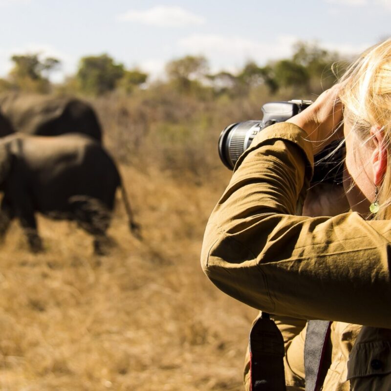 Photography safaris