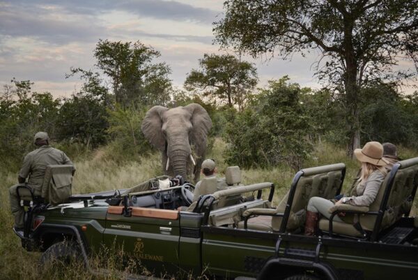 What’s New for African Travel in 2026