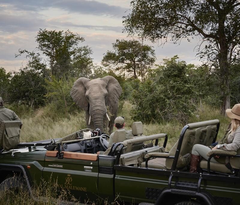 What’s New for African Travel in 2026