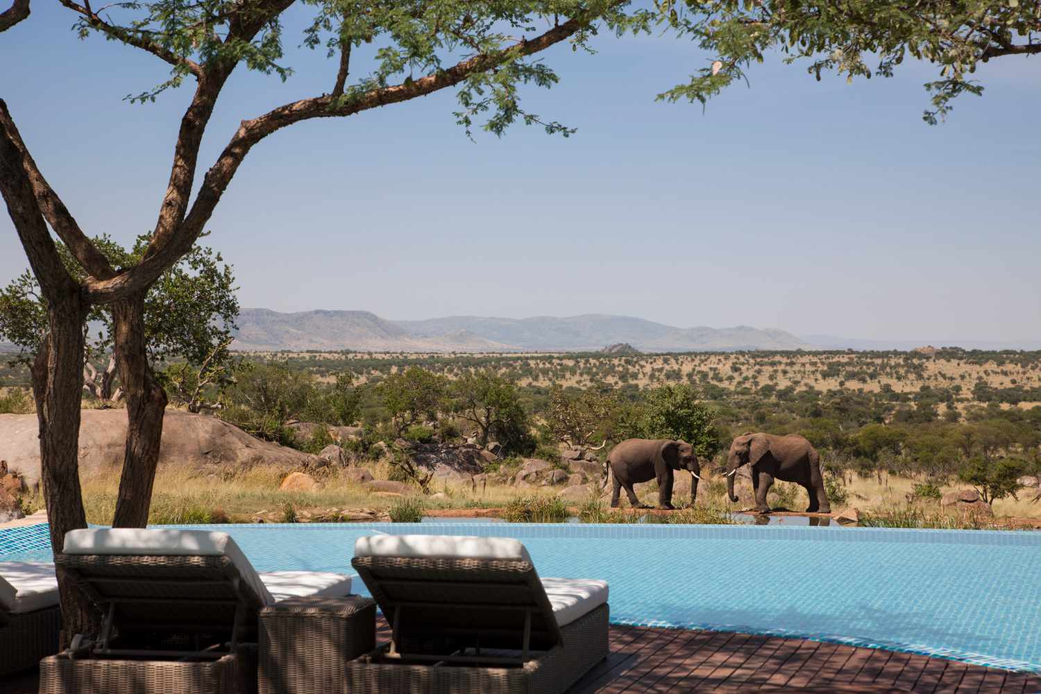 What’s New for African Travel in 2026