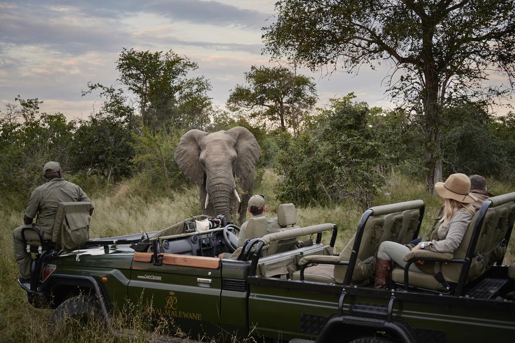 What’s New for African Travel in 2026
