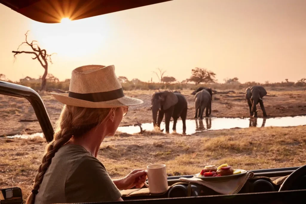 Where and How to Have Ethical Animal Encounters in Africa