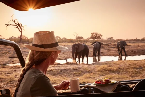 Where and How to Have Ethical Animal Encounters in Africa