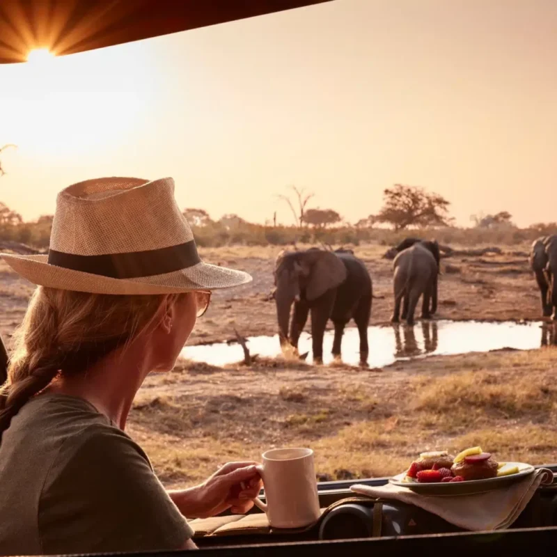 Where and How to Have Ethical Animal Encounters in Africa