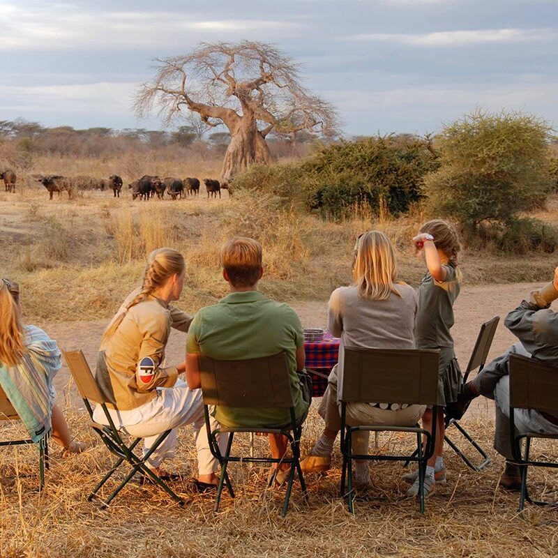 Family safaris