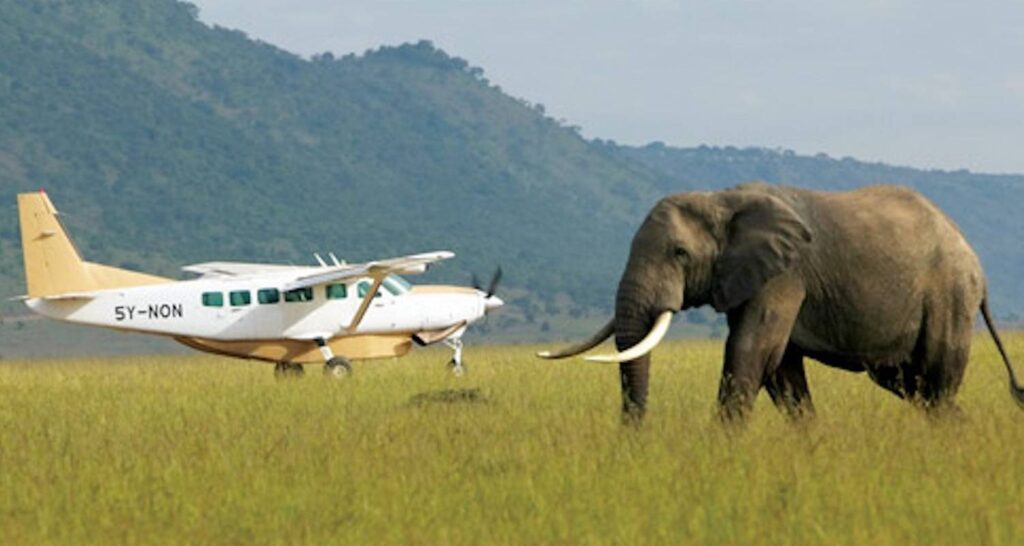 Flying safaris