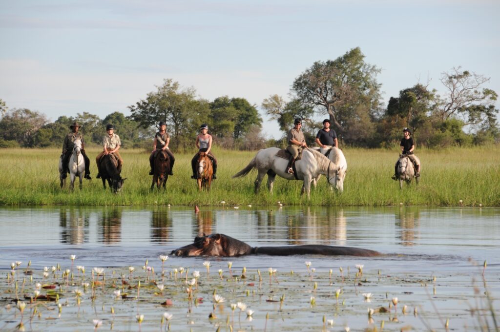 Botswana Horseback Safaris