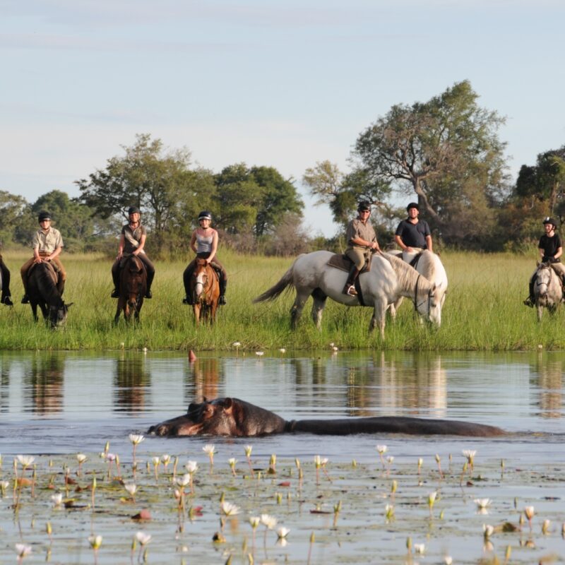Botswana Horseback Safaris