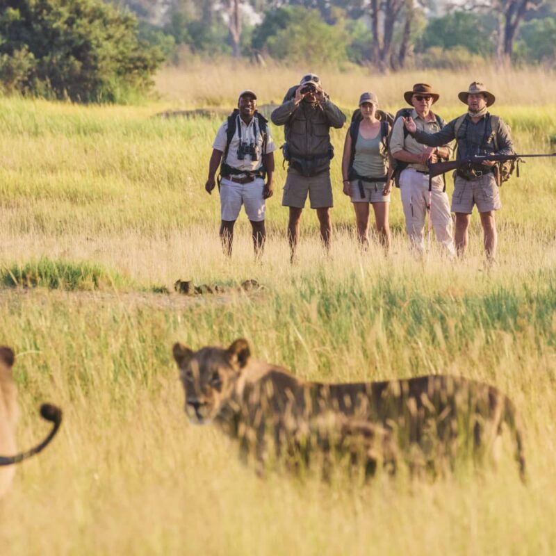 Botswana Walking Safaris