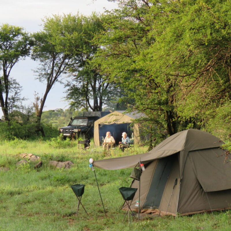 Camping Safaris