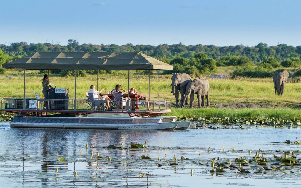 Chobe Safaris