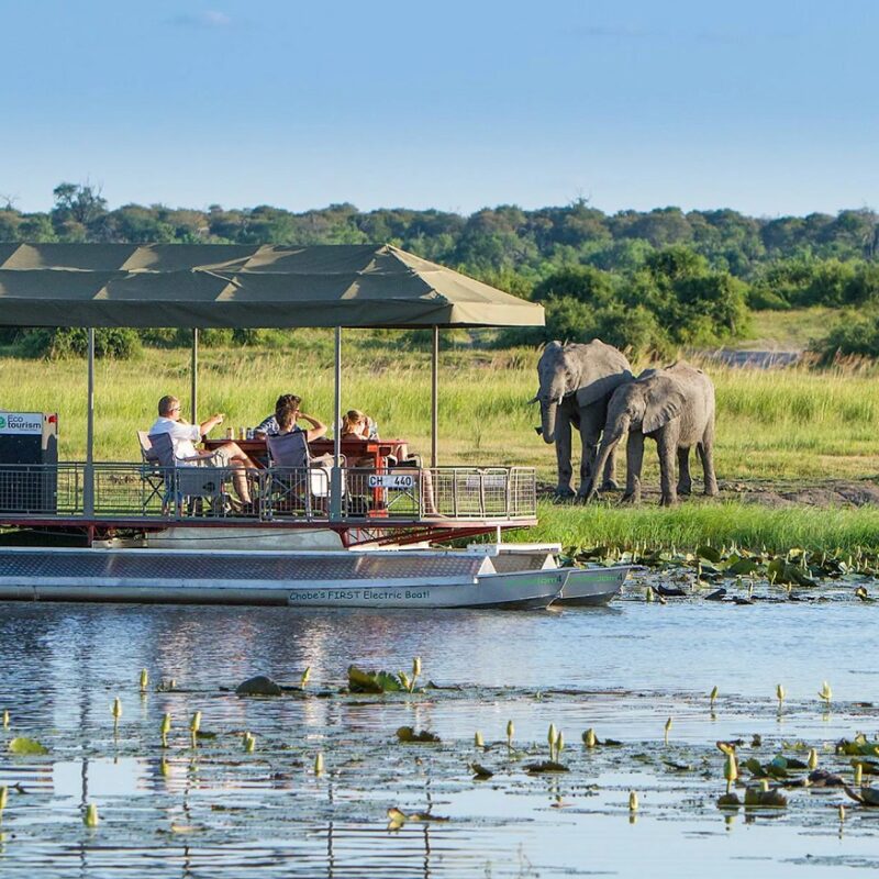 Chobe Safaris