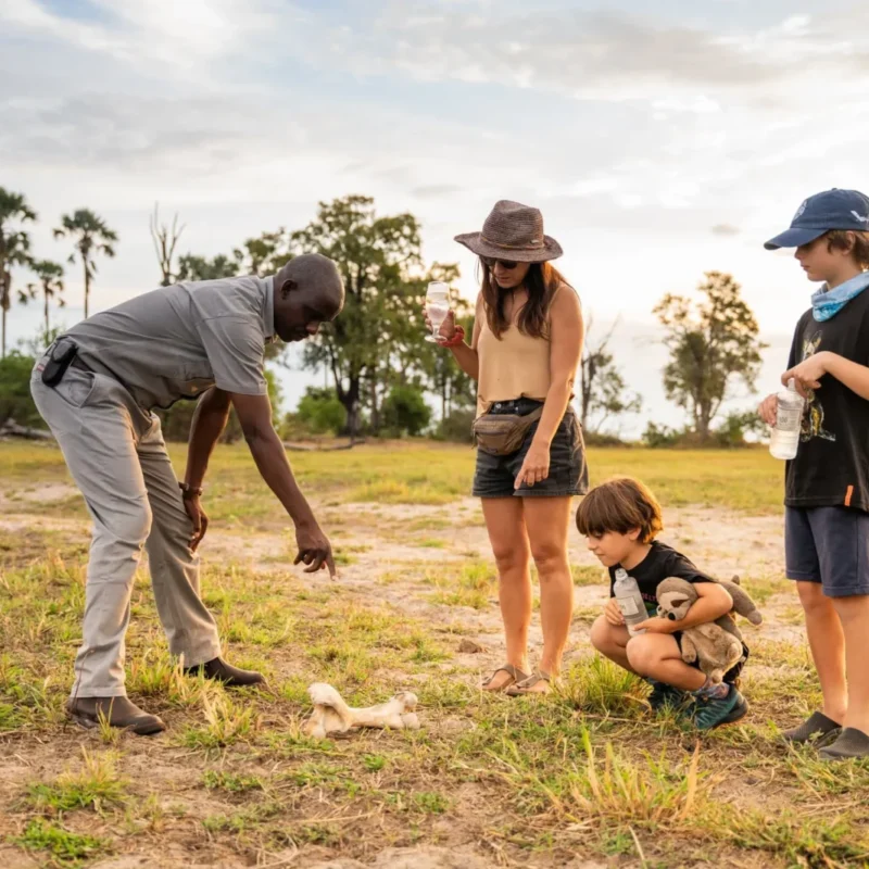 Congo Family Safaris