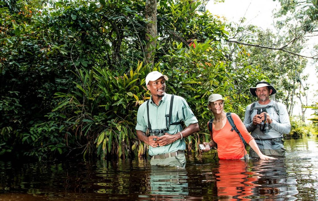 Congo Walking Safaris