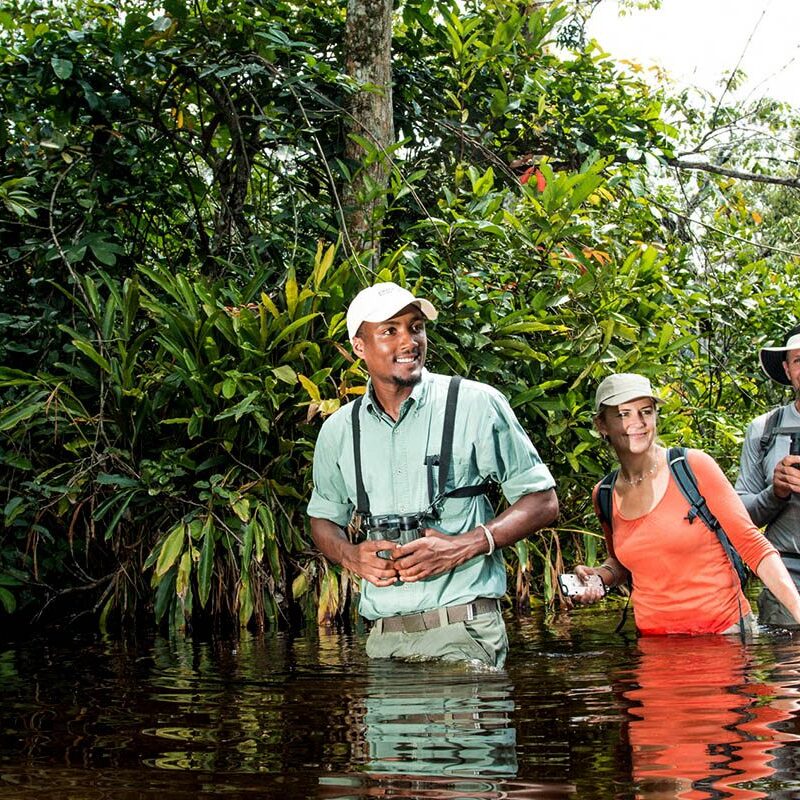 Congo Walking Safaris