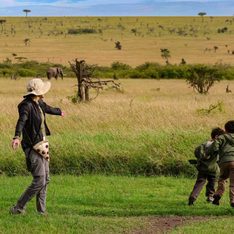 Gabon Family Safaris