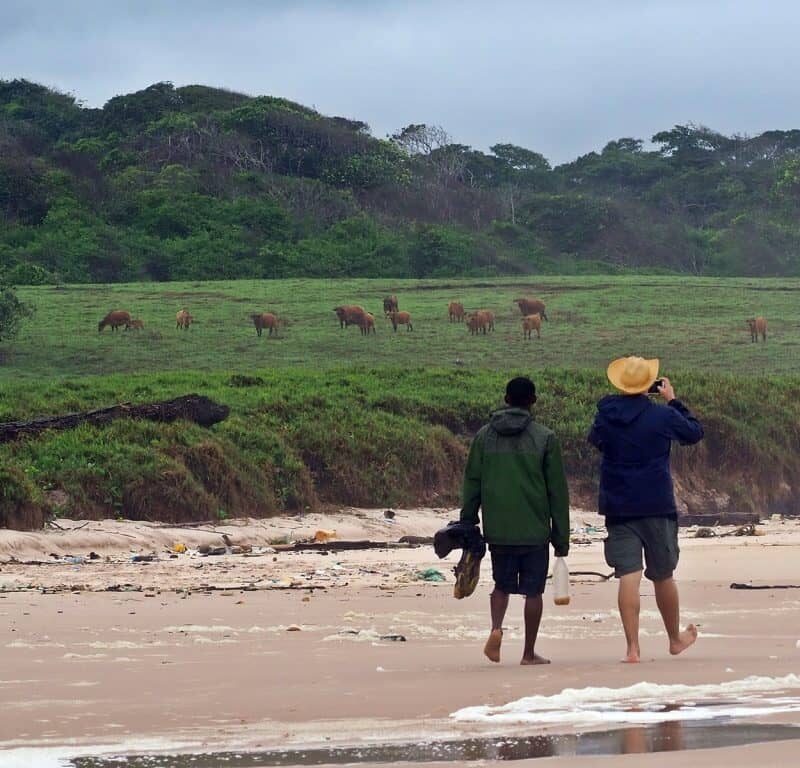 Gabon Walking Safaris