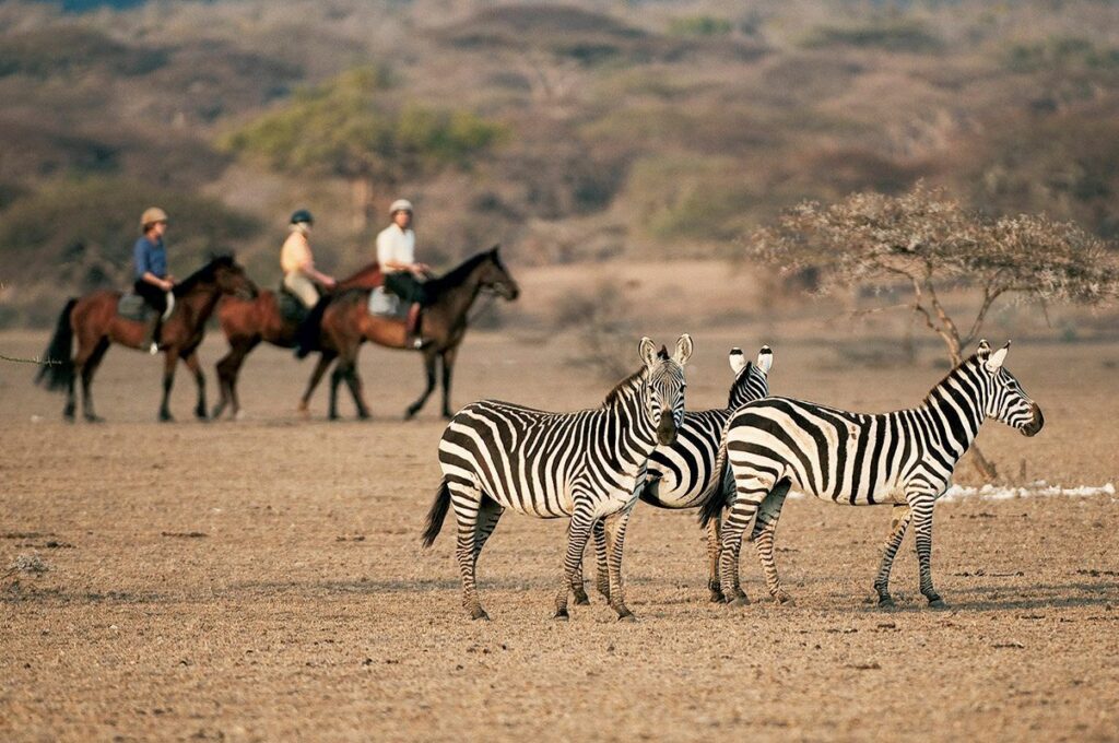 Kenya Horseback Safaris