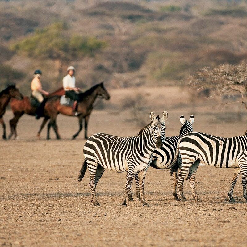 Kenya Horseback Safaris