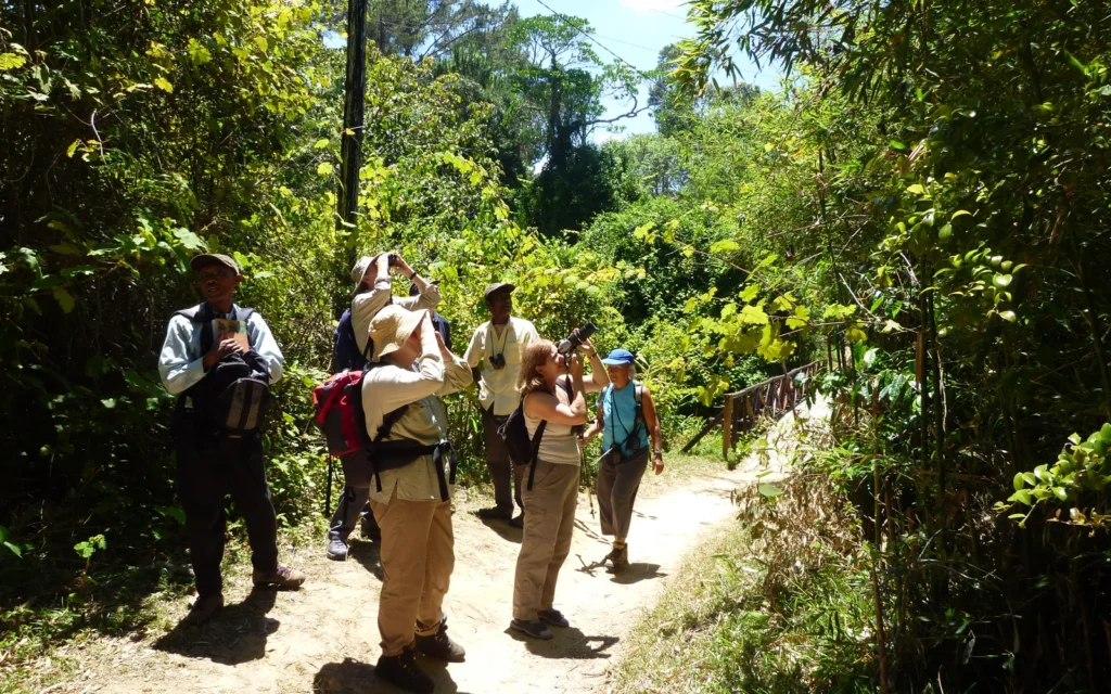 Madagascar Walking Safaris