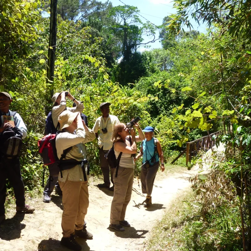 Madagascar Walking Safaris