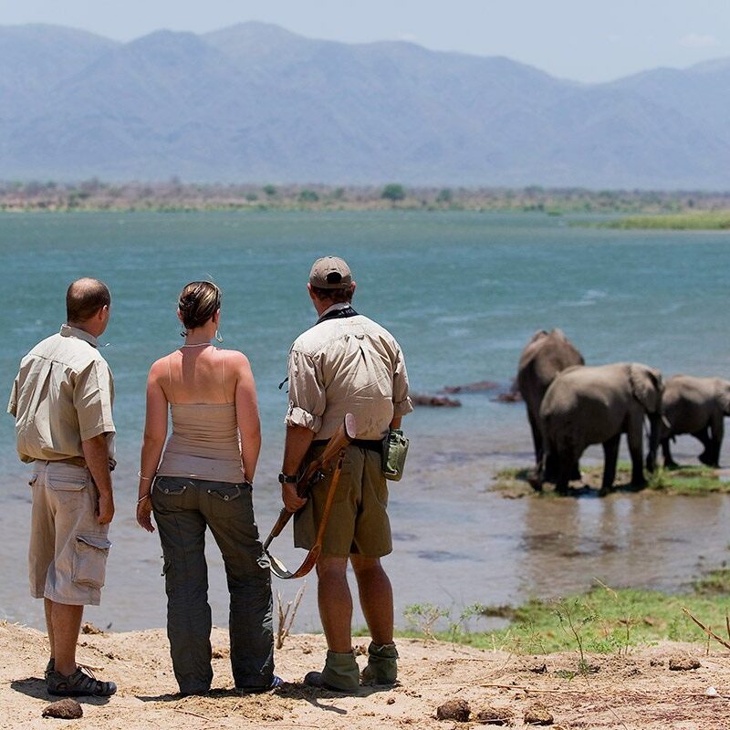 Mozambique Walking Safaris