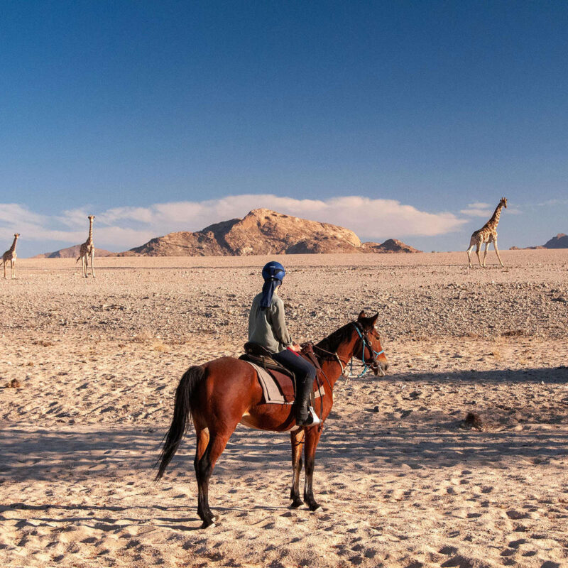 Namibia Horseback Safaris