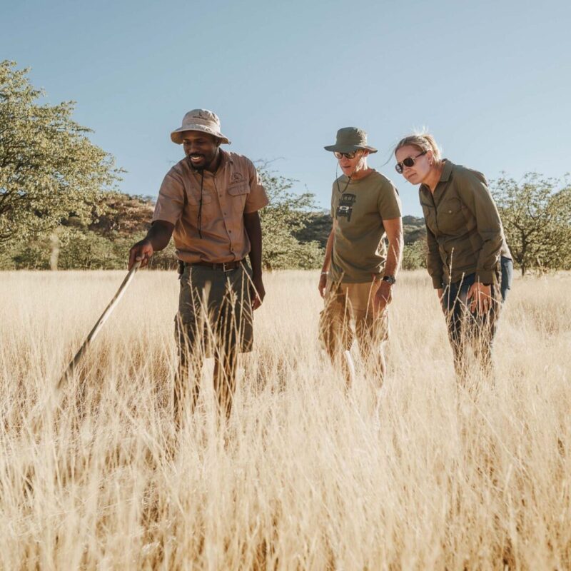 Namibia Walking Safaris