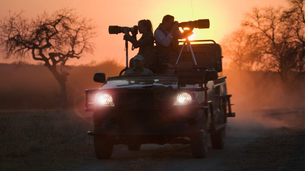 Photography Safaris