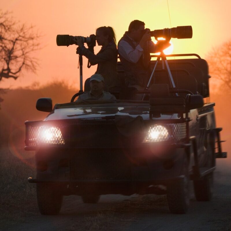 Photography Safaris