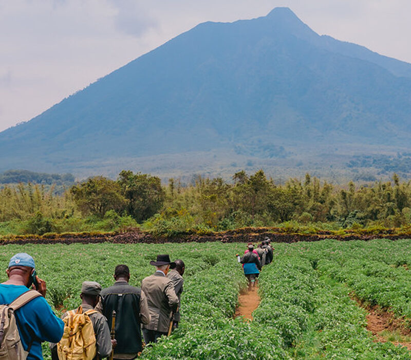 Rwanda Hiking & Climbing