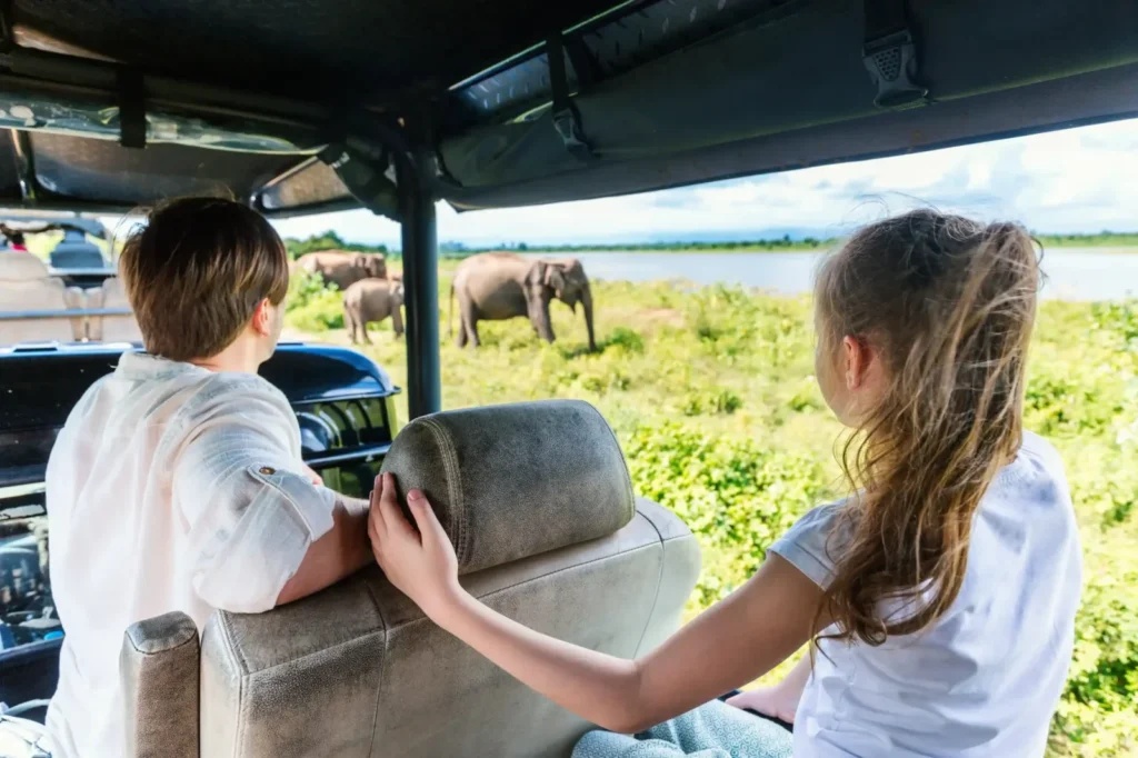 South Africa Family Safaris