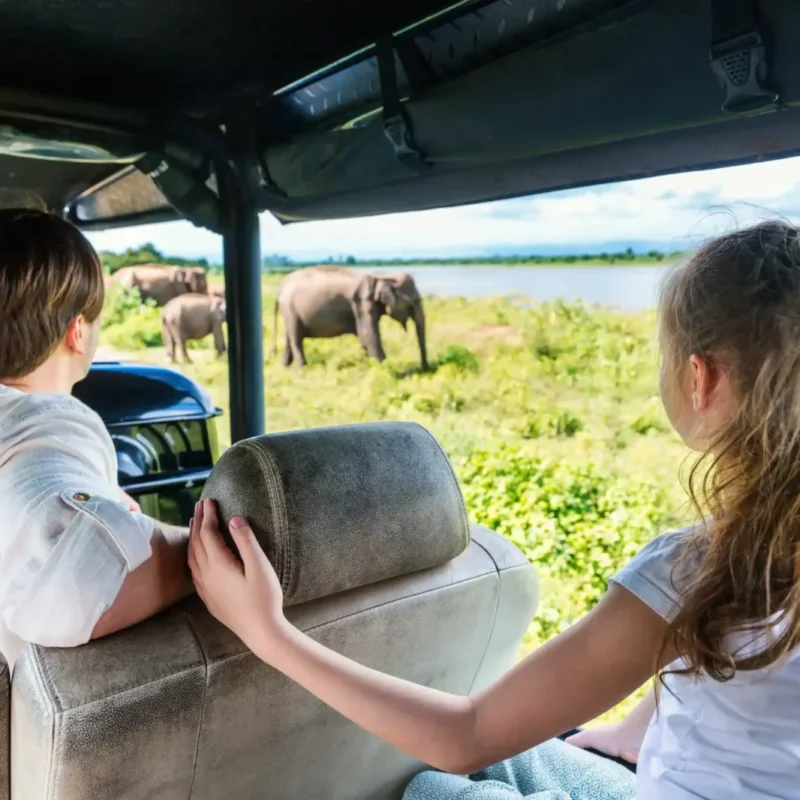 South Africa Family Safaris