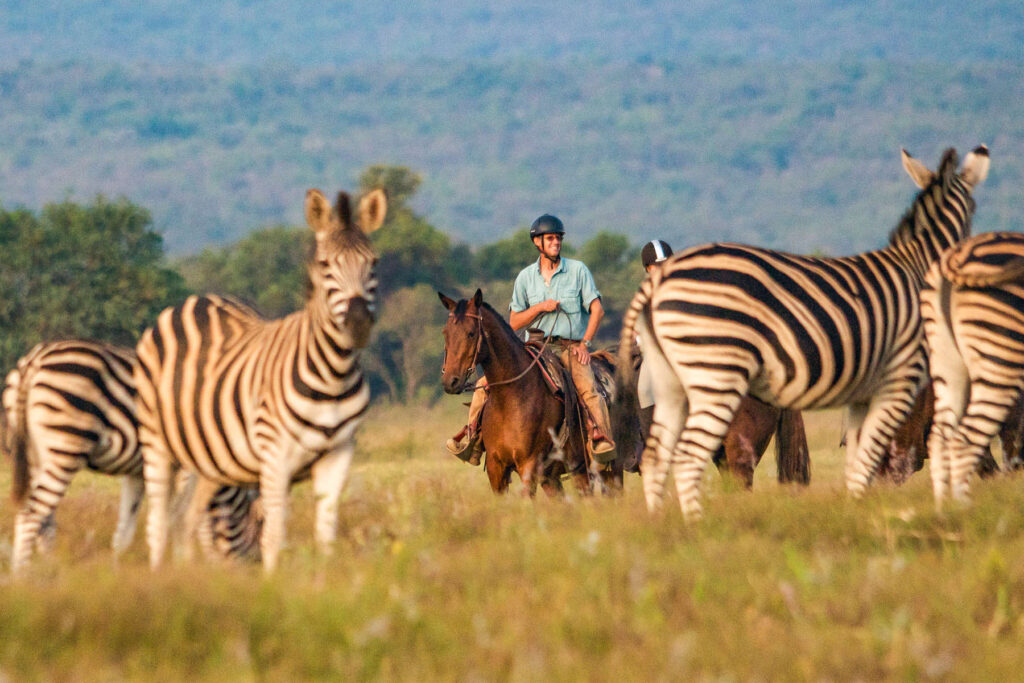 South Africa Horseback Safaris