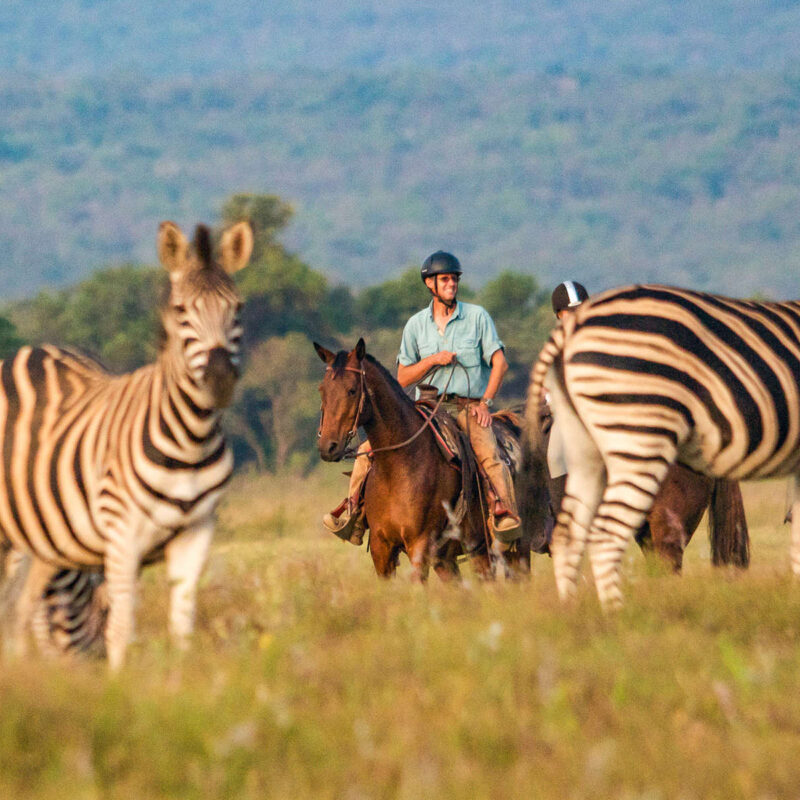 South Africa Horseback Safaris