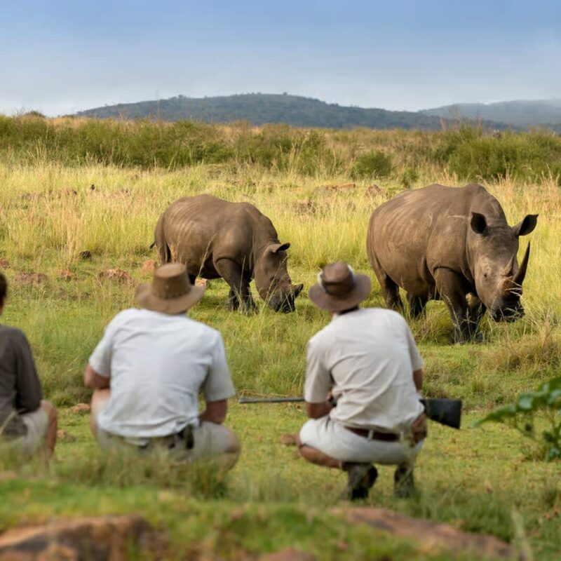 South Africa Walking Safaris