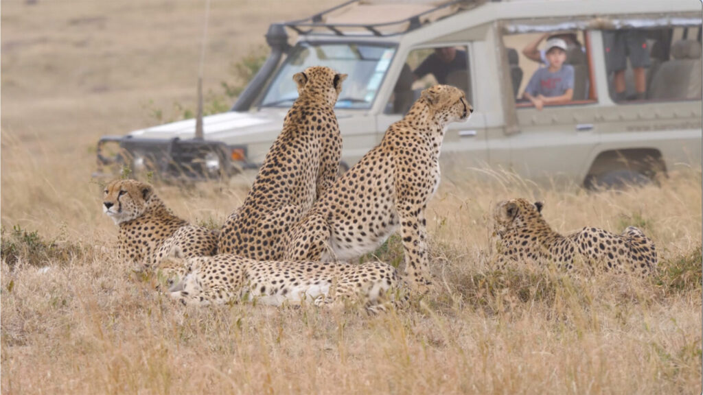 Tanzania Family Safaris